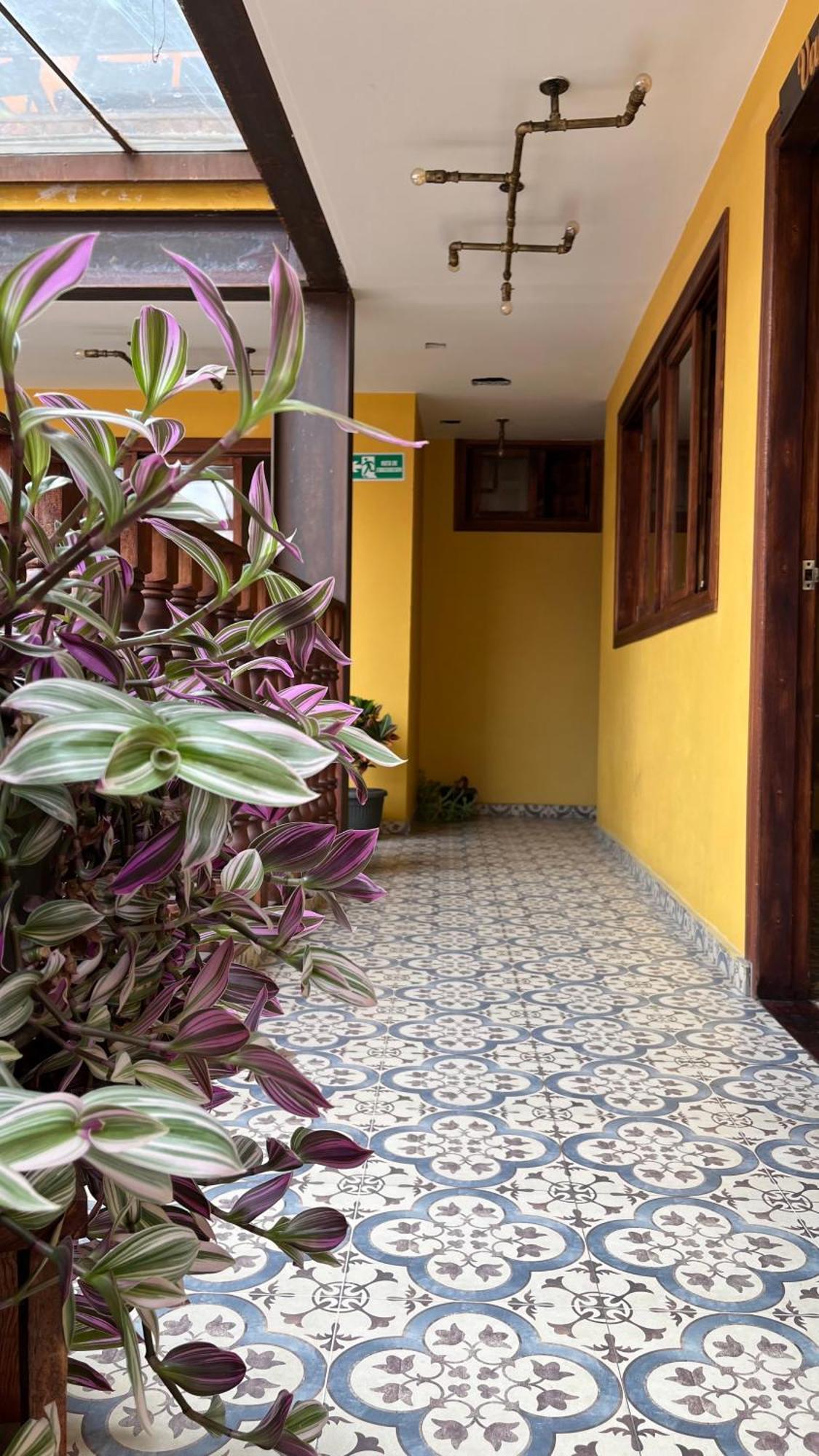 Hostal Casa Astromelia Богота Экстерьер фото